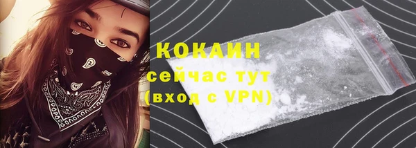 шишки Заволжье