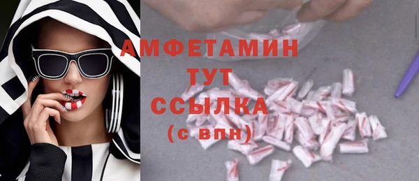 мдпв Заводоуковск