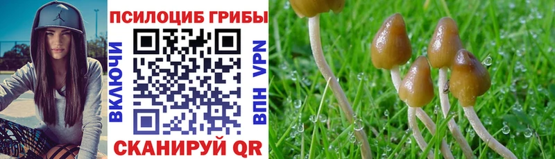 Псилоцибиновые грибы Magic Shrooms  Весьегонск 